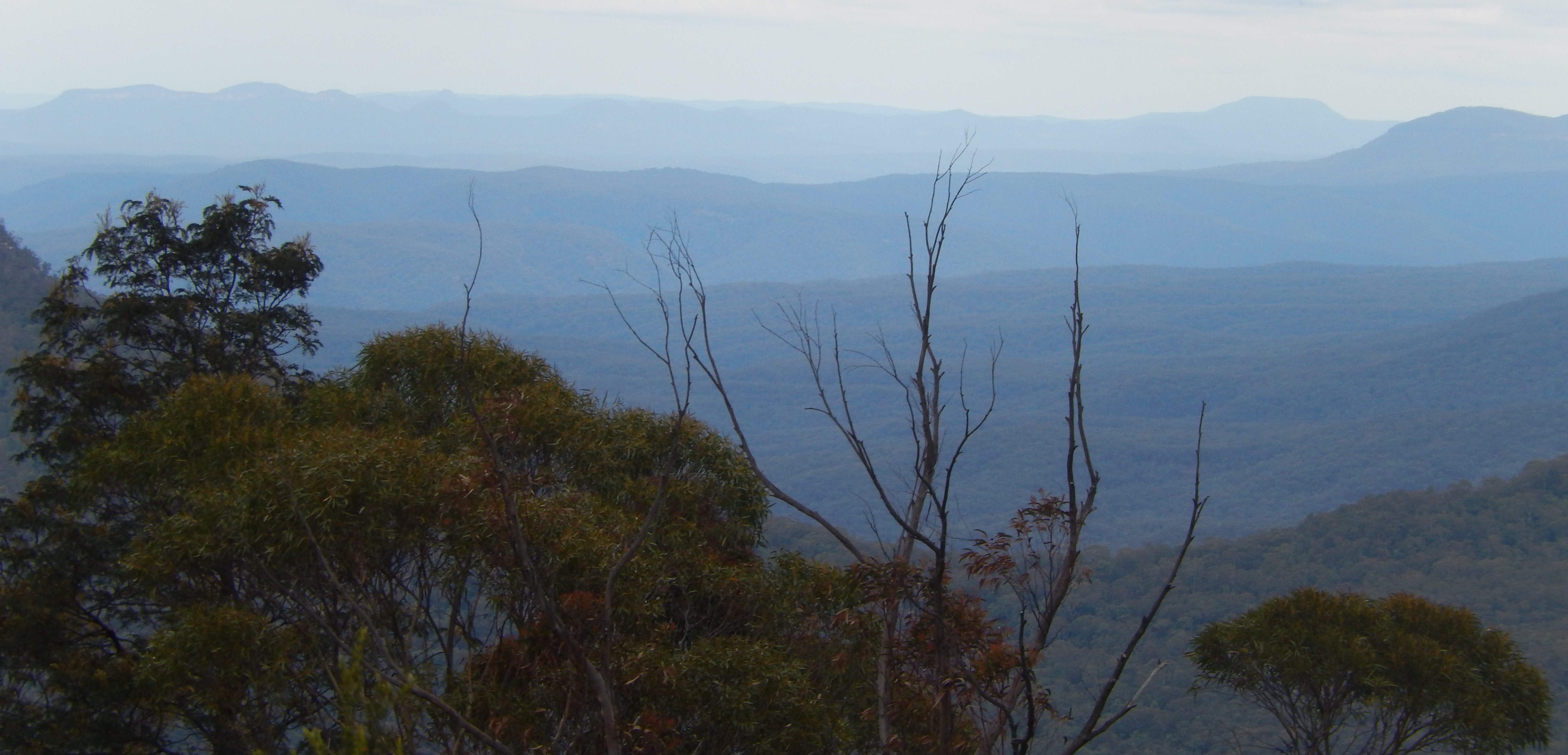 Blue Mountains