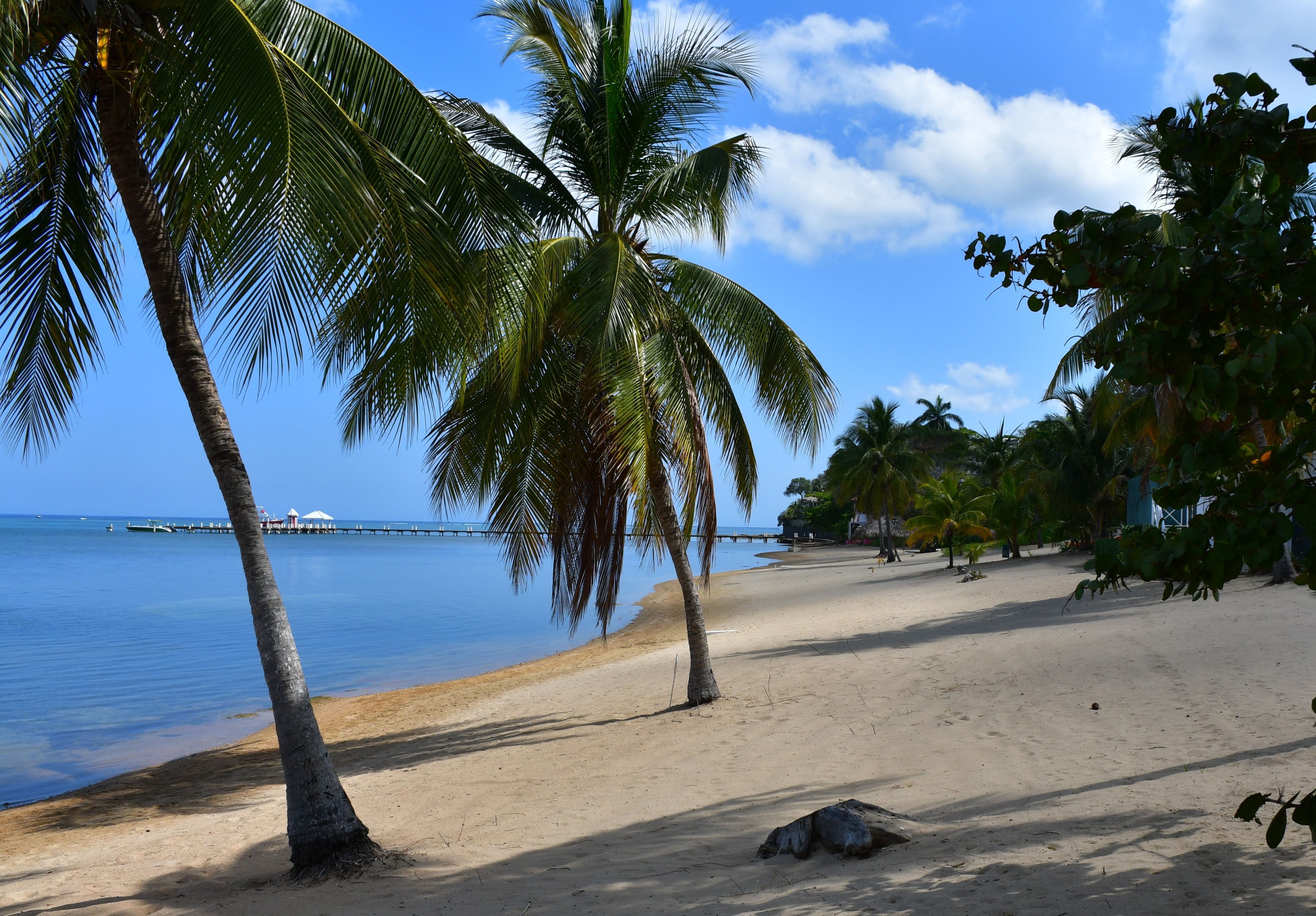 Sandy Bay Honduras