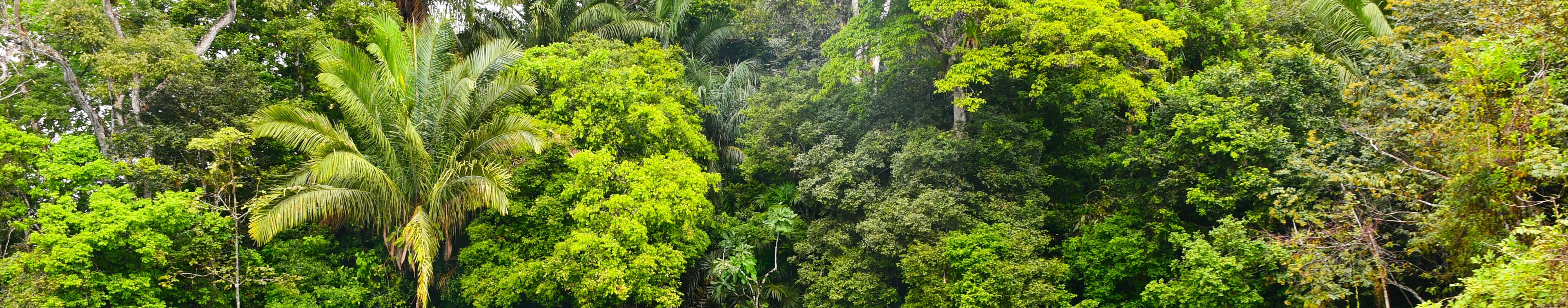 Panama