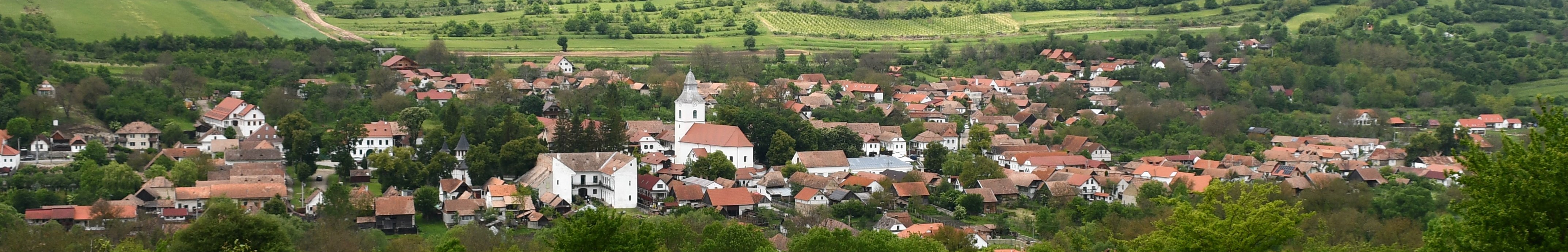 Romanian Village