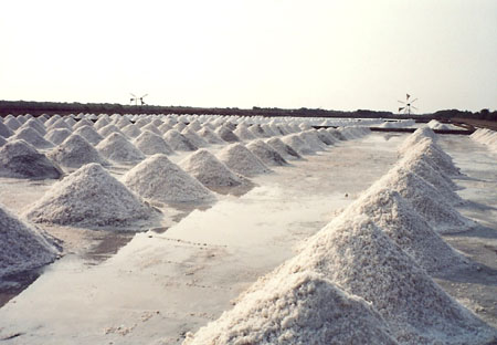 salt_farm